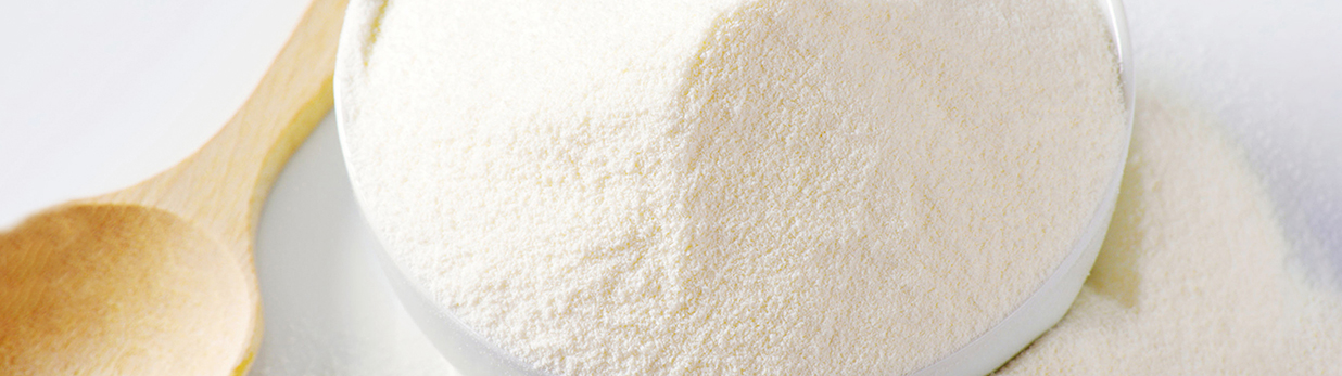 Gelatin Powder